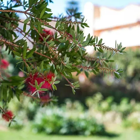 Ragias * Tsilivi (Zakynthos)